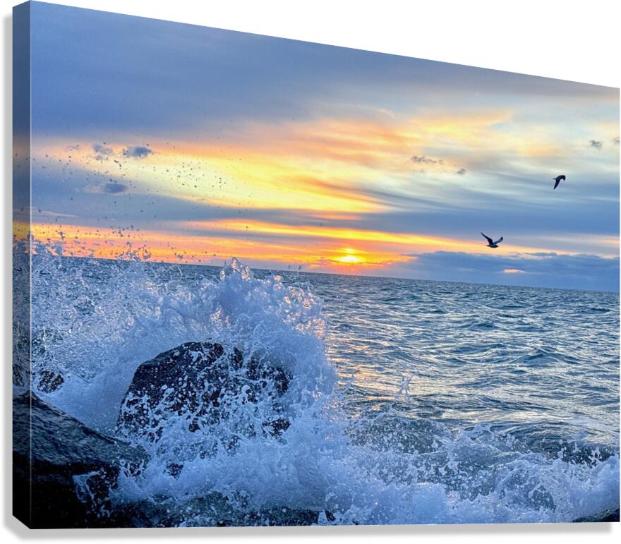 2529222 :: Giclée Stretched Canvas Print