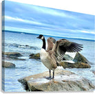 2530909 :: Giclée Stretched Canvas Print