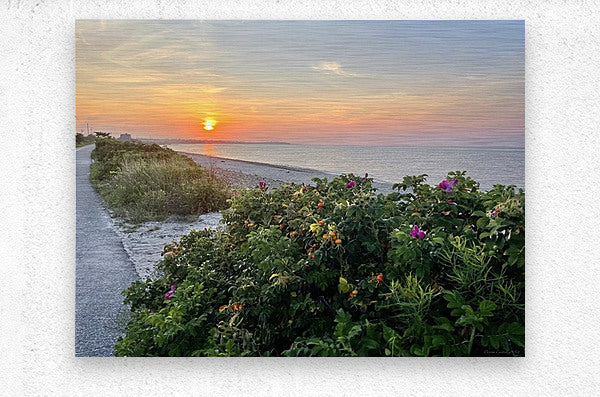 2380424 :: Brushed Metal Print