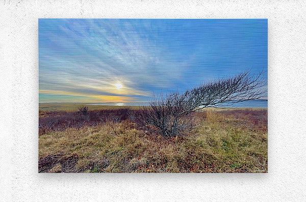 2385246 :: Brushed Metal Print