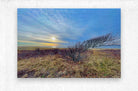 2385246 :: Brushed Metal Print