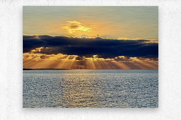 2472539 :: Brushed Metal Print