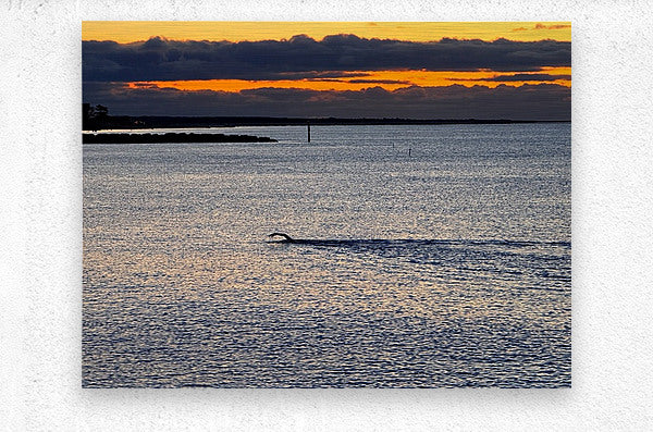 2479257 :: Brushed Metal Print