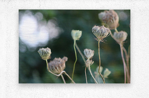 2495654 :: Brushed Metal Print