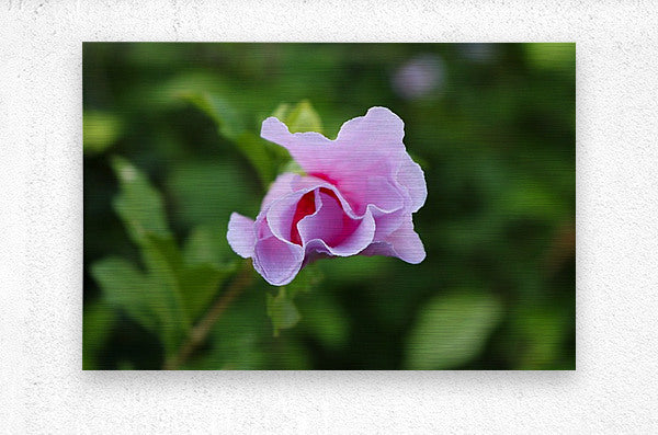 2495683 :: Brushed Metal Print