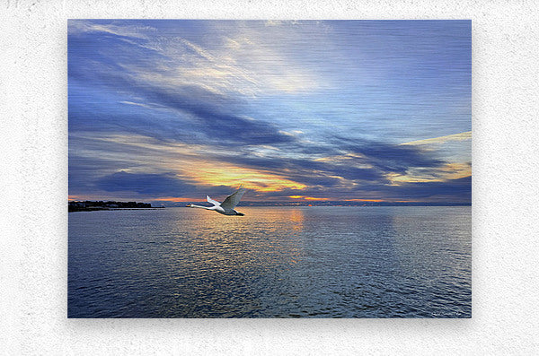 2498574 :: Brushed Metal Print