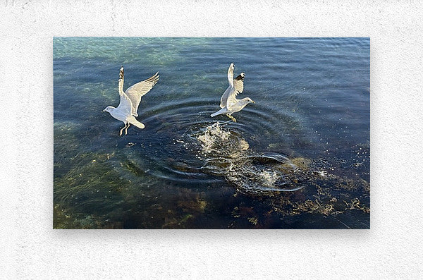 2498729 :: Brushed Metal Print