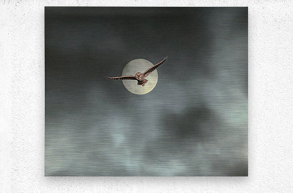 2508362 :: Brushed Metal Print