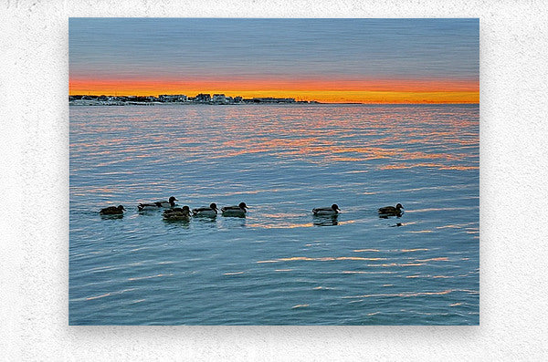 2511936 :: Brushed Metal Print