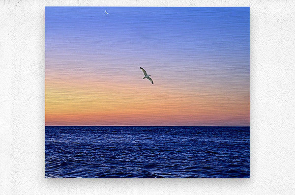 2516208 :: Brushed Metal Print