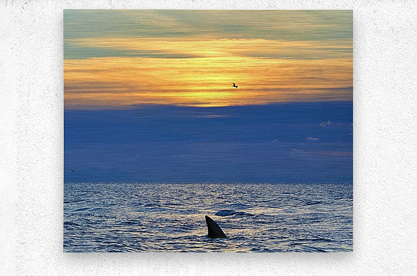 2516210 :: Brushed Metal Print