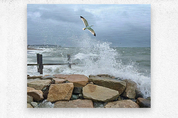 2516245 :: Brushed Metal Print
