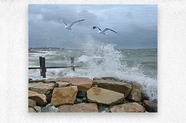 2516246 :: Brushed Metal Print