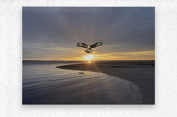 2521716 :: Brushed Metal Print