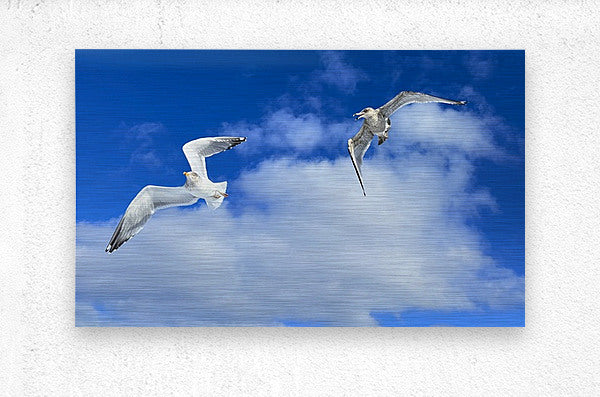 2552328 :: Brushed Metal Print