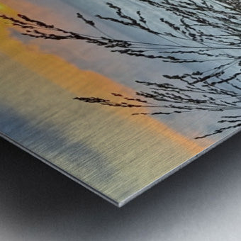 2454512 :: Brushed Metal Print