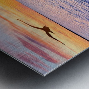 2487268 :: Brushed Metal Print