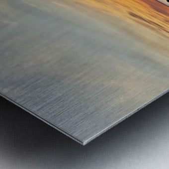 2487902 :: Brushed Metal Print