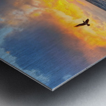 2488679 :: Brushed Metal Print