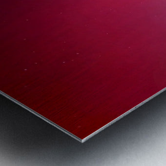 2491299 :: Brushed Metal Print