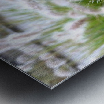 2495642 :: Brushed Metal Print