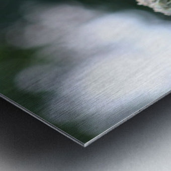 2495654 :: Brushed Metal Print