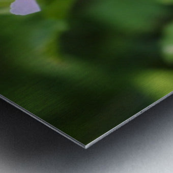 2495683 :: Brushed Metal Print