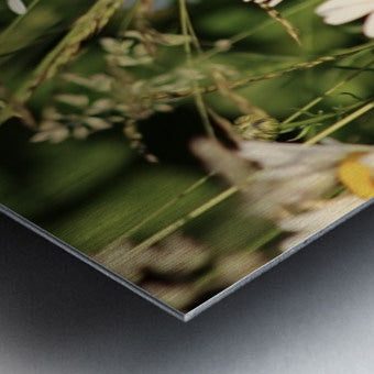 2496521 :: Brushed Metal Print