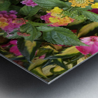 2498027 :: Brushed Metal Print