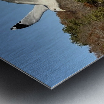 2498092 :: Brushed Metal Print