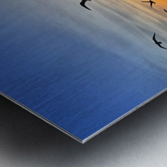 2505539 :: Brushed Metal Print