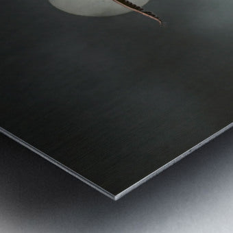 2508362 :: Brushed Metal Print