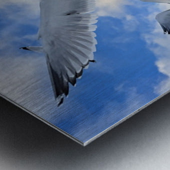 2521715 :: Brushed Metal Print