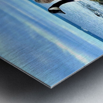 2530909 :: Brushed Metal Print