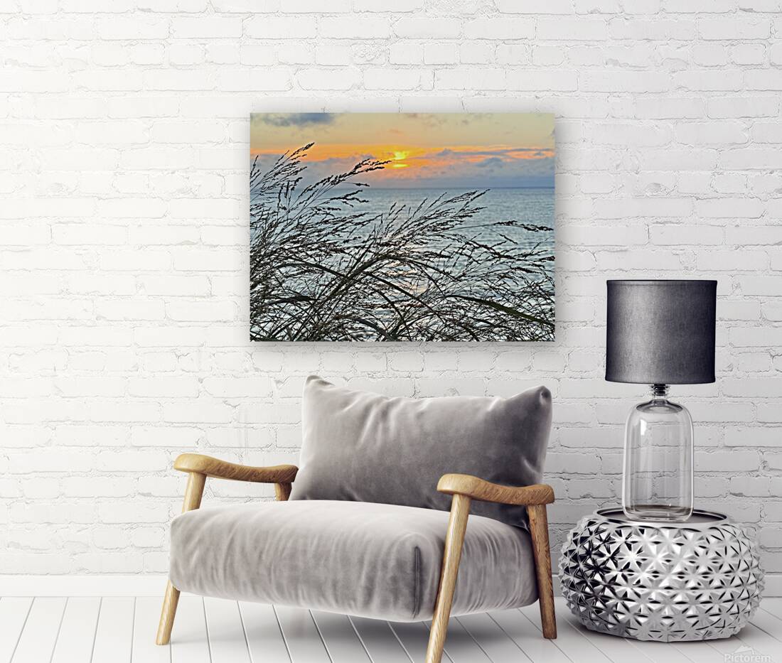 2454512 :: Giclée Stretched Canvas Print