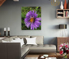 2495638 :: Giclée Stretched Canvas Print