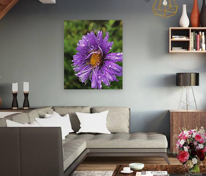 2495638 :: Giclée Stretched Canvas Print