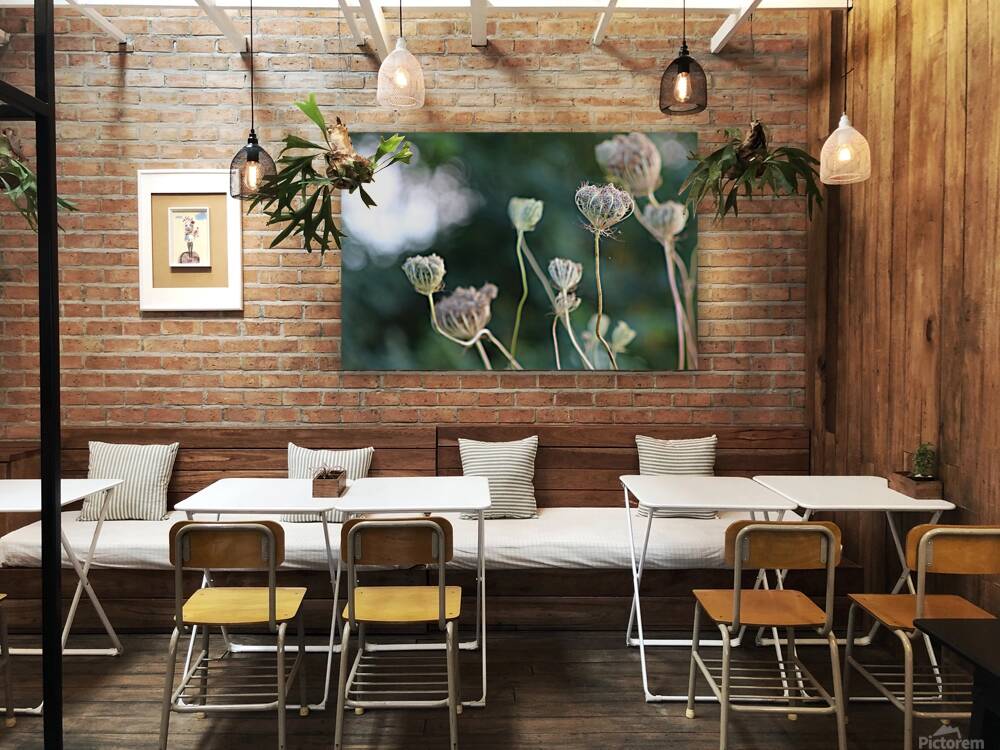 2495654 :: Giclée Stretched Canvas Print