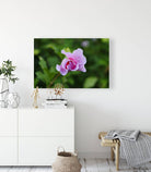 2495683 :: Giclée Stretched Canvas Print