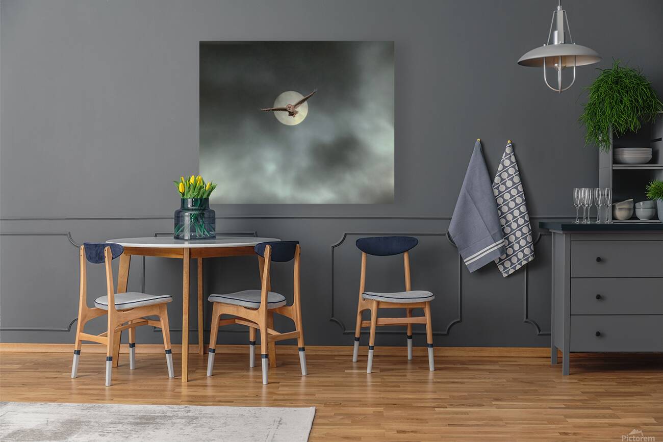 2508362 :: Giclée Stretched Canvas Print