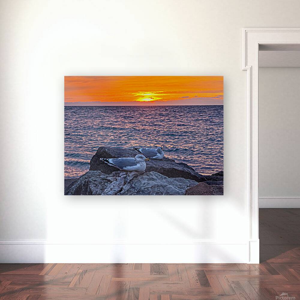 2519744 :: Giclée Stretched Canvas Print