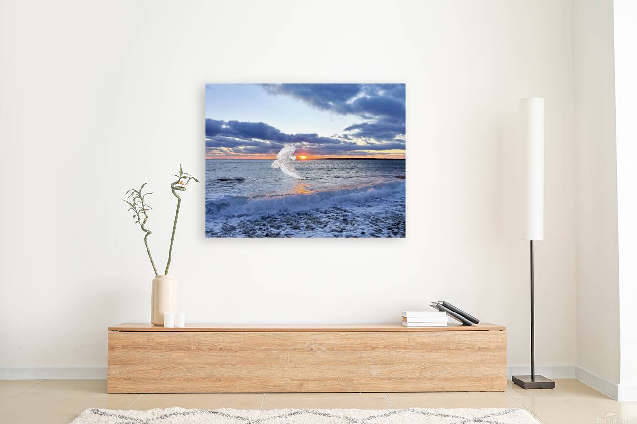 2521712 :: Giclée Stretched Canvas Print
