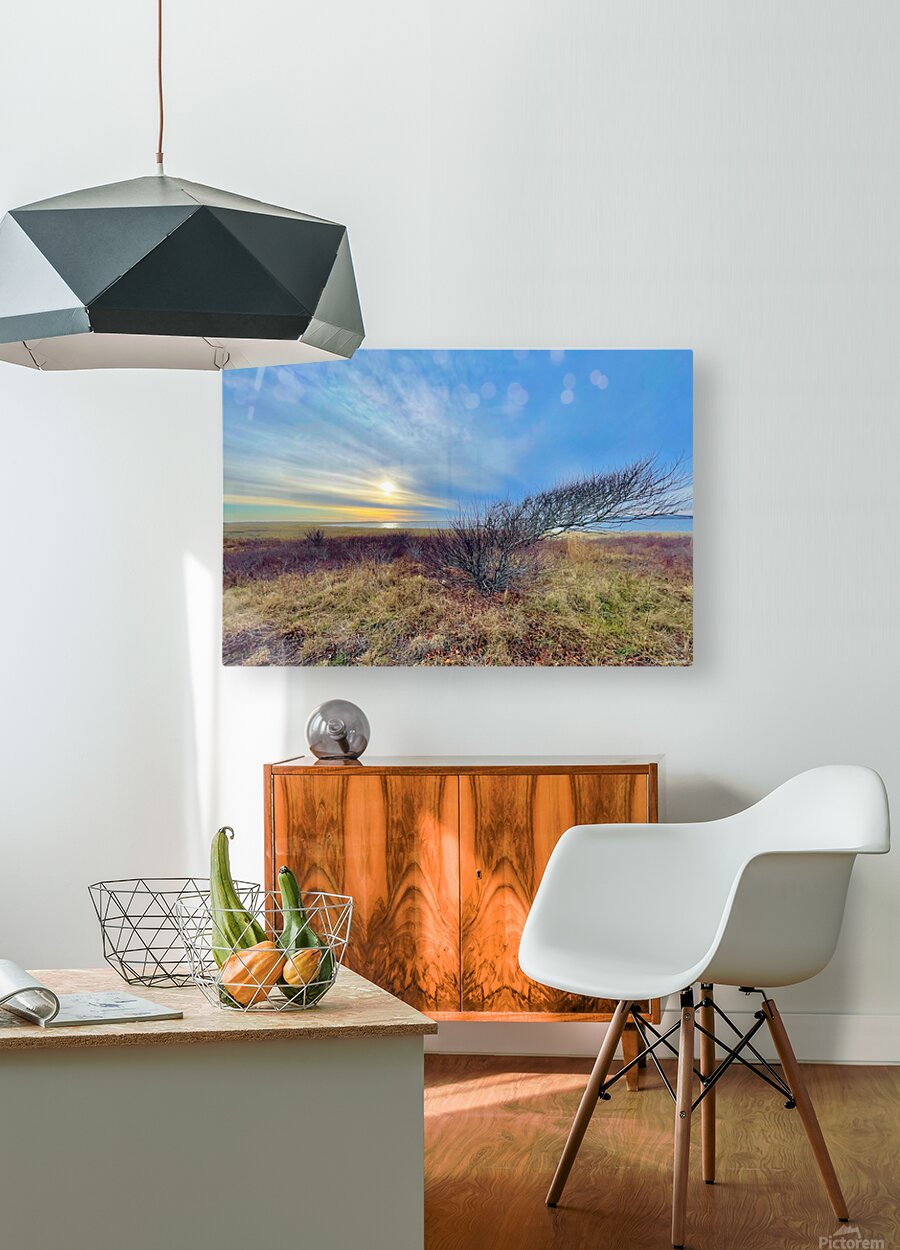 2385246 :: HD Sublimation Metal Print