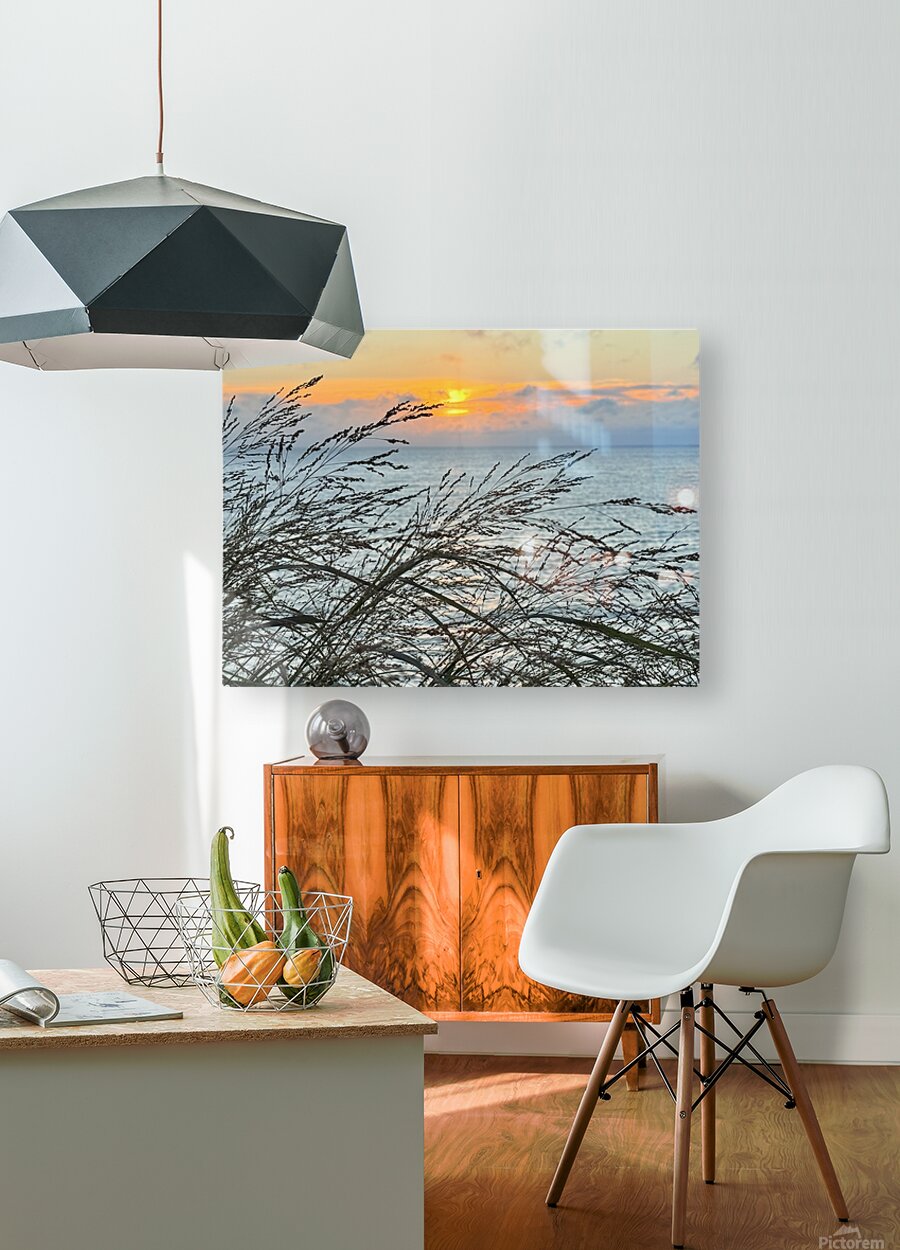 2454512 :: HD Sublimation Metal Print
