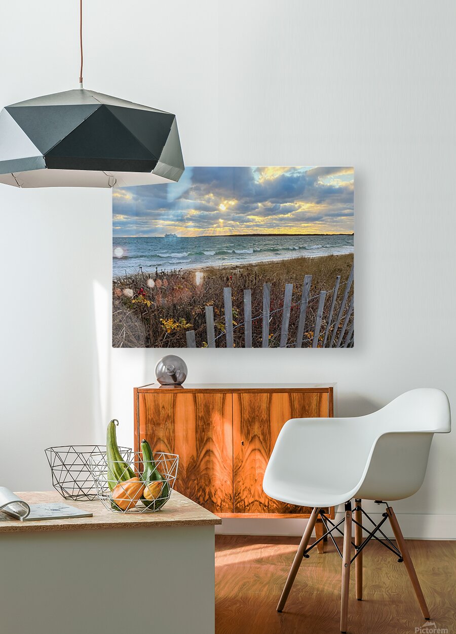 2491474 :: HD Sublimation Metal Print