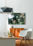 2495654 :: HD Sublimation Metal Print