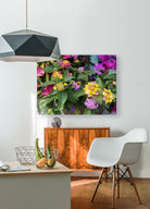 2498027 :: HD Sublimation Metal Print