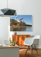 2498092 :: HD Sublimation Metal Print