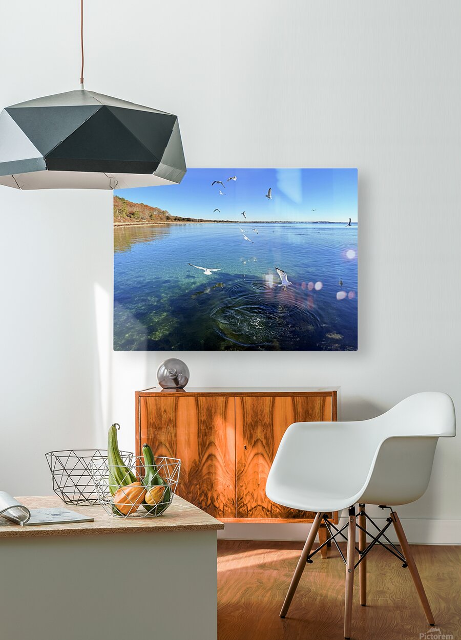 2498578 :: HD Sublimation Metal Print