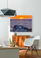 2519744 :: HD Sublimation Metal Print